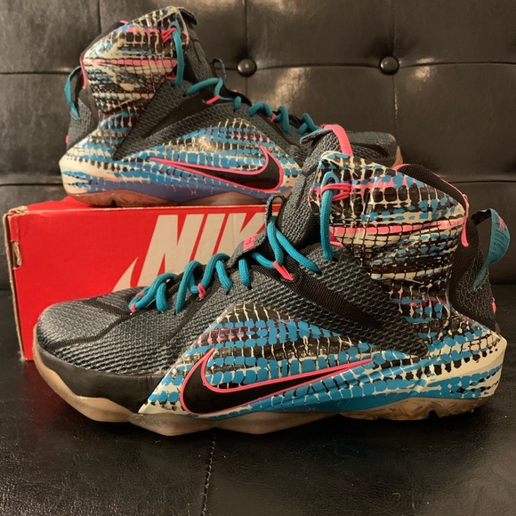 lebron 12 23 chromosomes